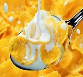 Основные компоненты насос кукурузный завтрак Зерноварение изготовление машины на заказ