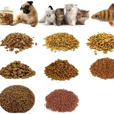 Видео выходной инспекции предоставленная линия производства пищи для домашних животных смеситель для легкой эксплуатации