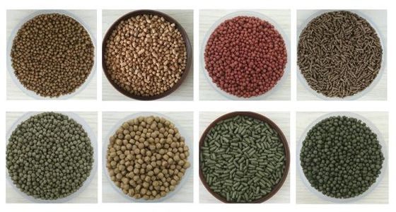 Завод по производству машин для выталкивания рыбных кормов